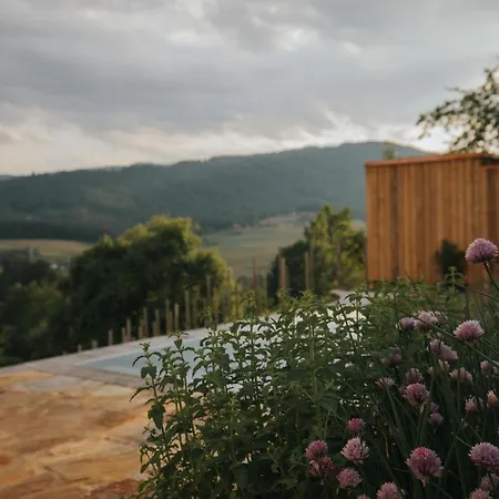 Am Wildbachberg - Luxus Ferienhaeuser Mit Infinitypool, Privatsauna Und Weinkeller * Deutschlandsberg
