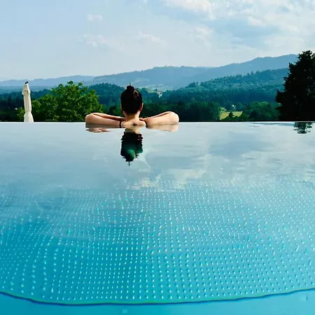 Am Wildbachberg - Luxus Ferienhaeuser Mit Infinitypool, Privatsauna Und Weinkeller Deutschlandsberg