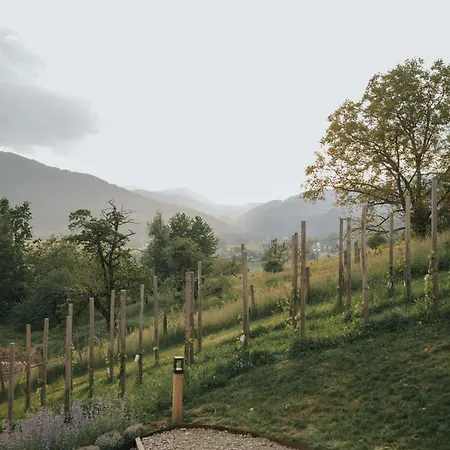 Am Wildbachberg - Luxus Ferienhaeuser Mit Infinitypool, Privatsauna Und Weinkeller